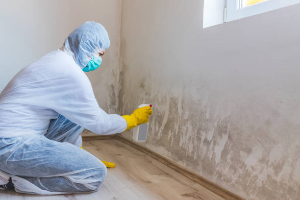 Licensed Commercial Mold Remediation service in Upton, KY - WQB Mold Removal